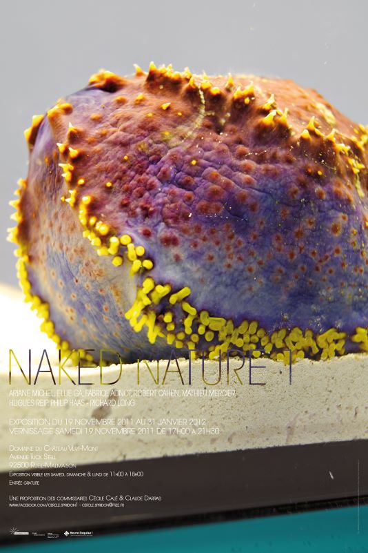 20116naked-Nature